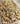 Cartellate